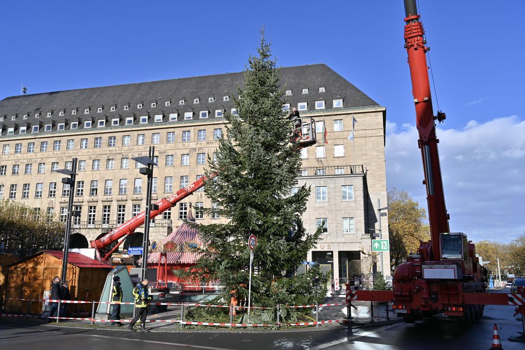 Aufstellung eines Weihnachtsbaumes vor dem Bochumer Rathaus.