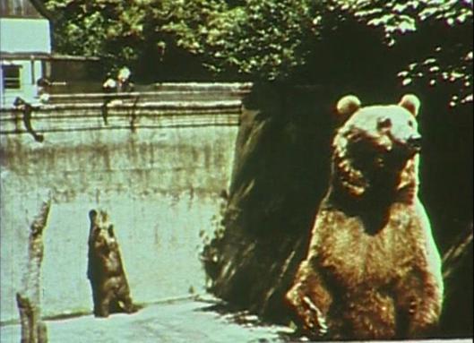 Der Werbefilm "Das andere Bochum" von 1957 zeigt den Tierpark.