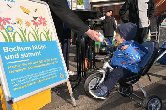Ein Kind bekommt die Blumenmischung geschenkt