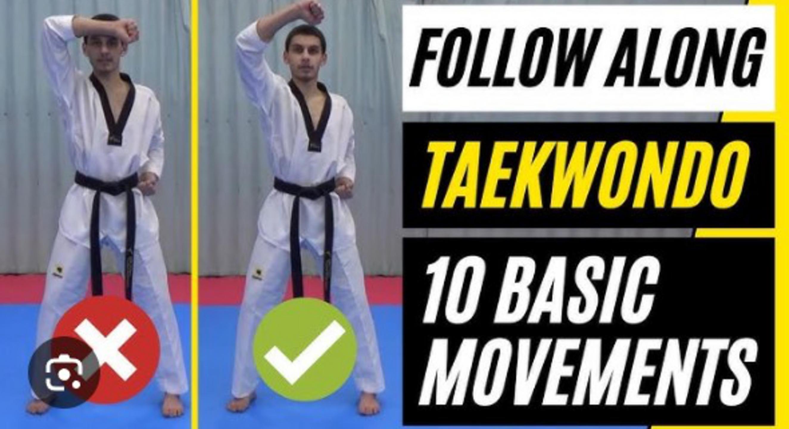 Grundtechniken im Taekwondo