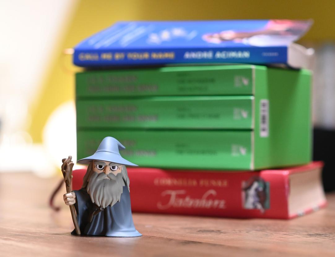 Playmobil Zauberer vor Büchern