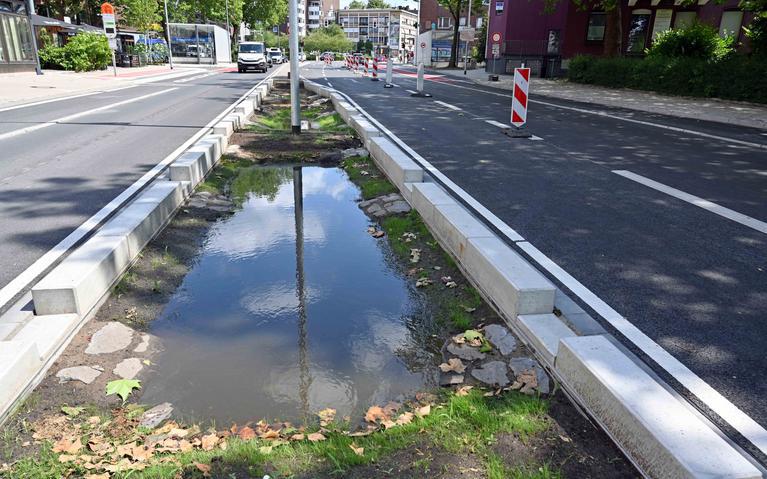 Zwischen zwei Hauptstraßen wird Regenwasser gesammelt.