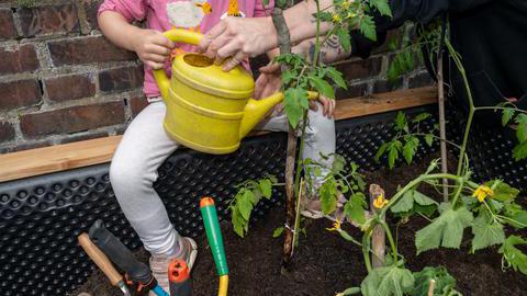 Kinder des „Kinderhofs Bochum“ bei der Bepflanzung ihres Hochbeets mit Himbeeren und Tomaten