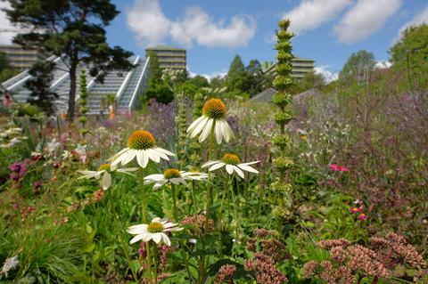 Botanischer Garten