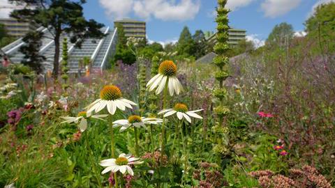 Botanischer Garten