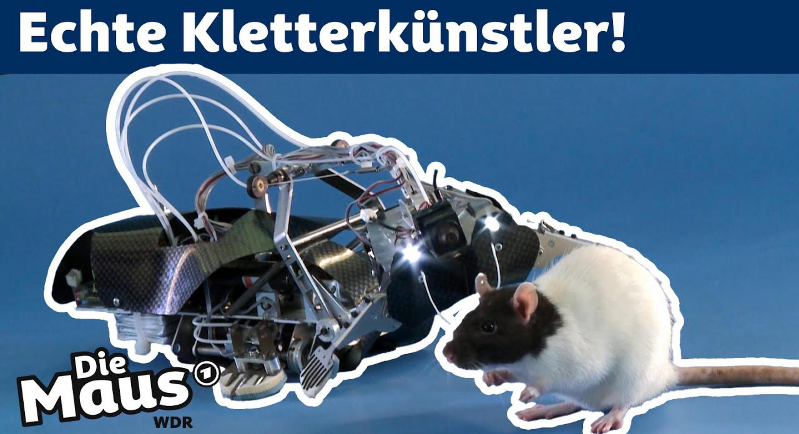 Thumbnail für "Was haben ein Roboter und eine Ratte gemeinsam? | DieMaus | WDR"