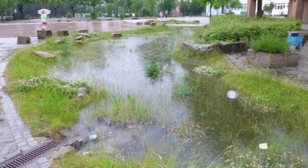 abgekoppelte Fläche am Schulzentrum Westenfeld