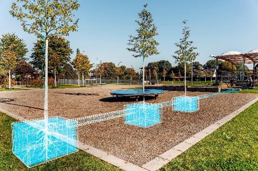 Ansicht von Baumrigolen