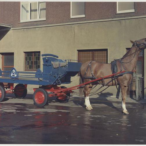 Das für den Transport der Bierfässer eingesetzte Brauereipferd namens Alerich