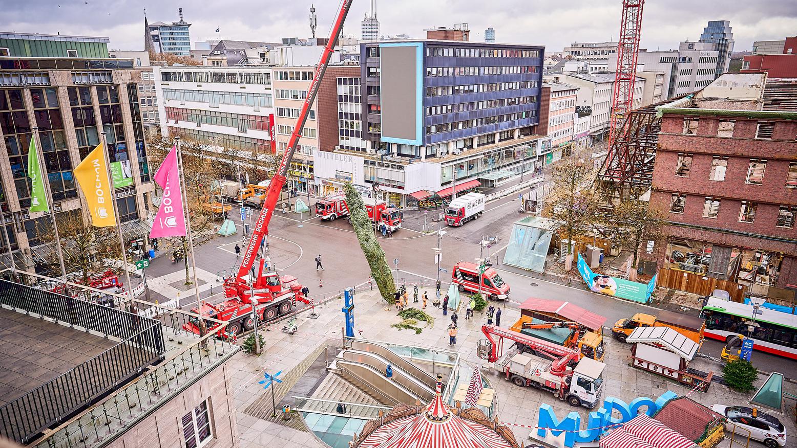 Das fertige Ergebnis vom Tannenbaum auf dem Rathausvorplatz