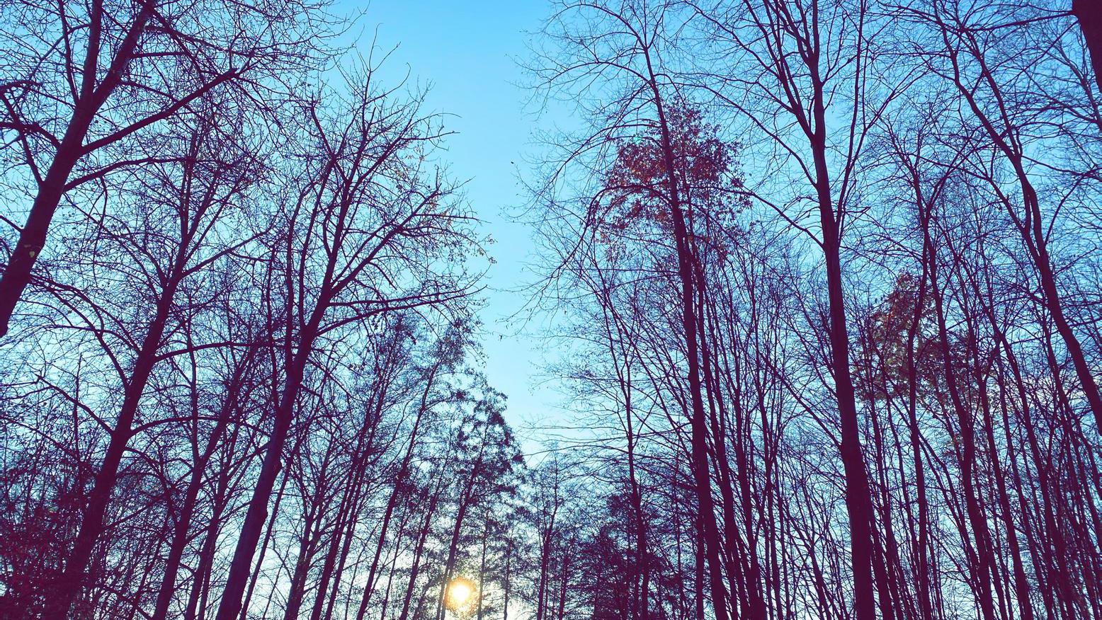 Grünanlage am Hofsteder Bach