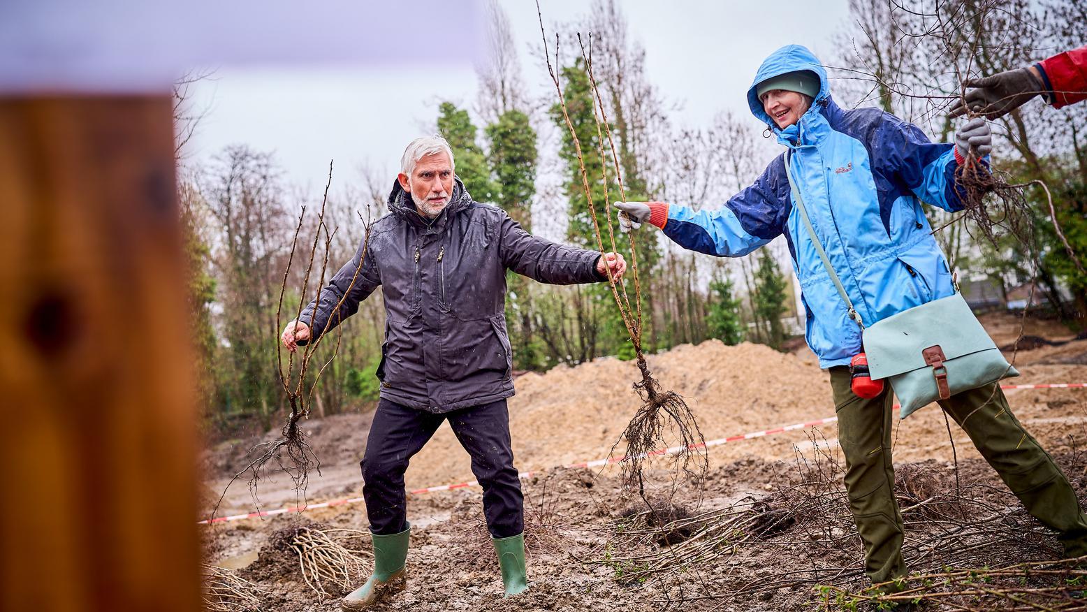 Zu sehen ist OB (Oberbürgermeister) Jörg Lukat bei der Pflanzaktion