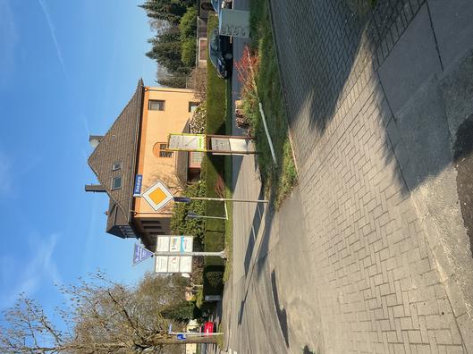 Abgesägte Bäume an der Wiescherstraße