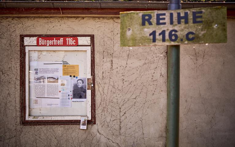 Im Vordergrund ein Schild mit der Aufschrift Reihe 116c. Im Hintergrund eine weiße Wand auf der Plakate zur Erinnerungskultur in einer Vitrine hängen. Neben den Informationen zur Mitgestaltung des Lern-und Erinnerungsort des Lager Bergener Straße hängt ein Abbild eines jungen Mannes. Das Bild ist in schwarz und weiß. Darunter steht der Name Nikolaj Storoschenko. 