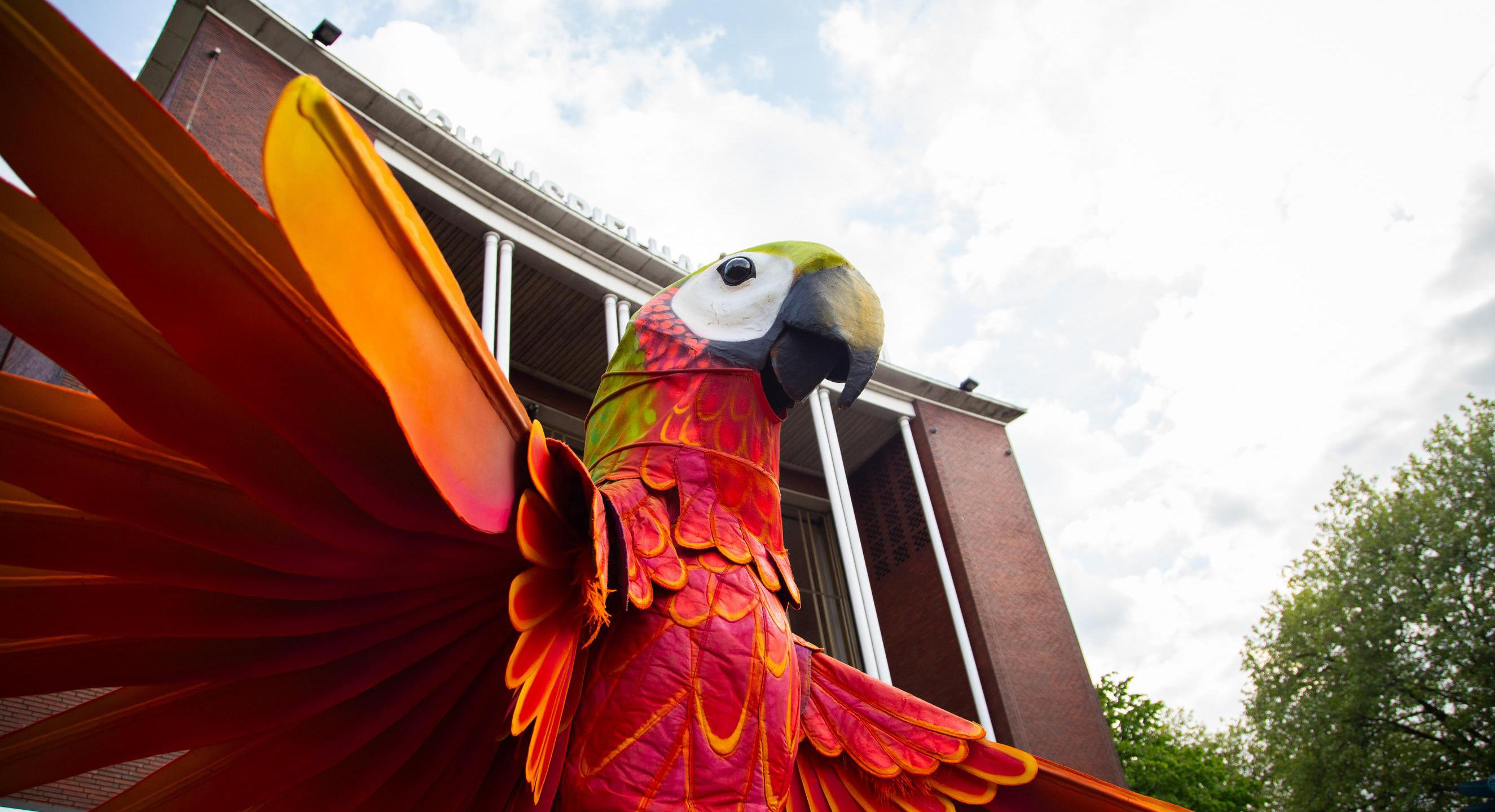 Fidena Parade Papagallo von Teatro Pavana