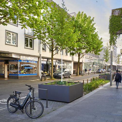 Eine Straße in Bochum mit gepflanzten Bäumen und begrünten Häusern.