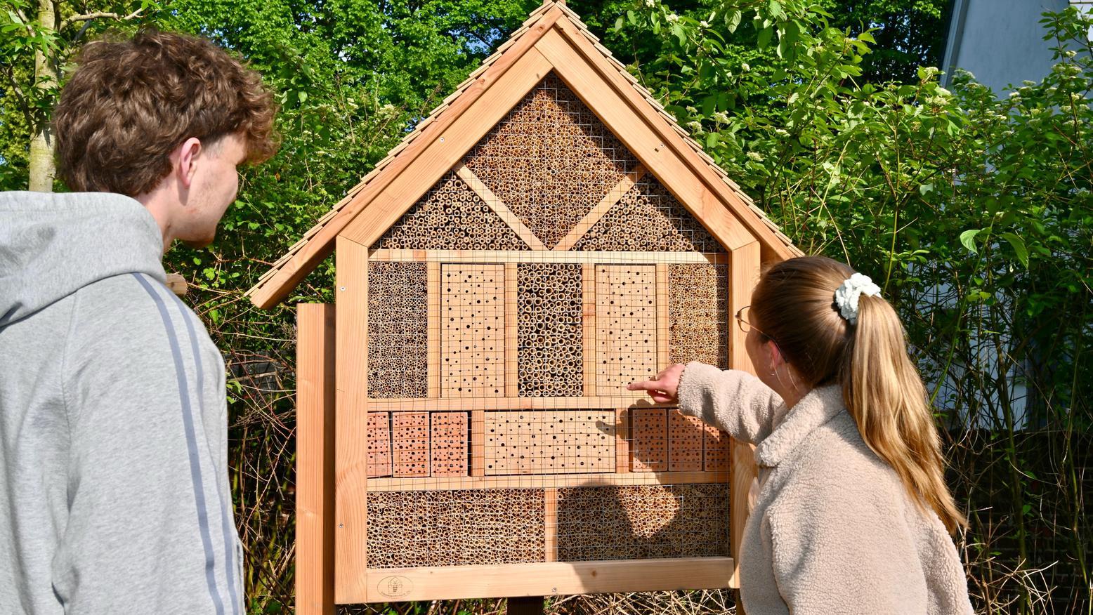 Zwei Personen schauen sich ein Insektenhaus an