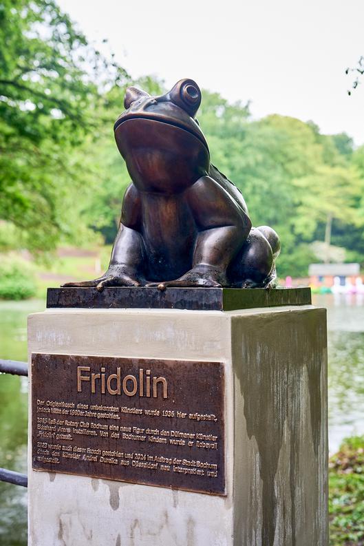 Frosch Fridolin kehrt in den Stadtpark zurück
