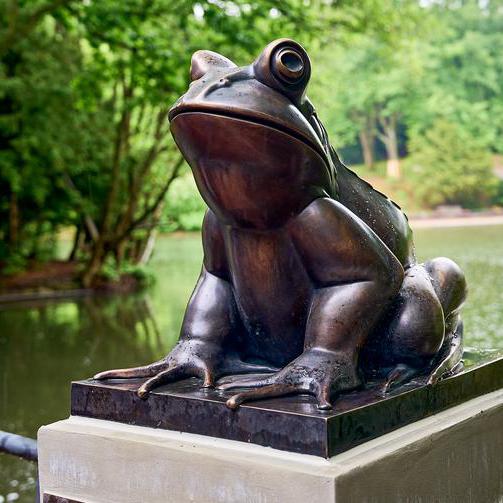 Frosch Fridolin kehrt in den Stadtpark zurück