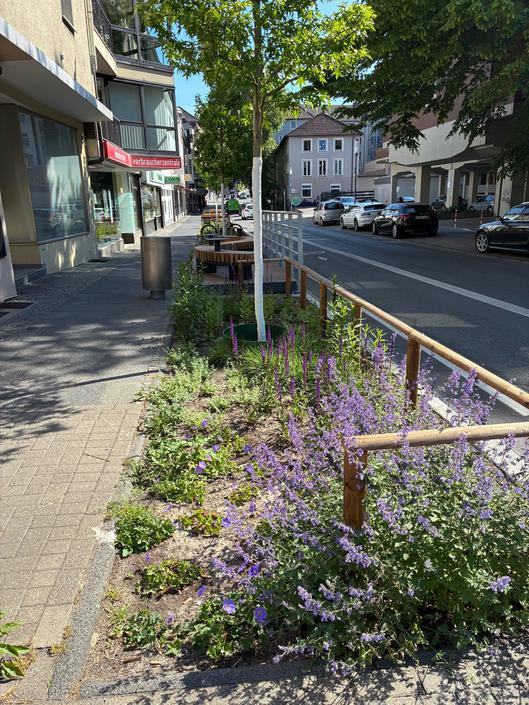 Bepflanzung eines Beetes am Straßenrand.