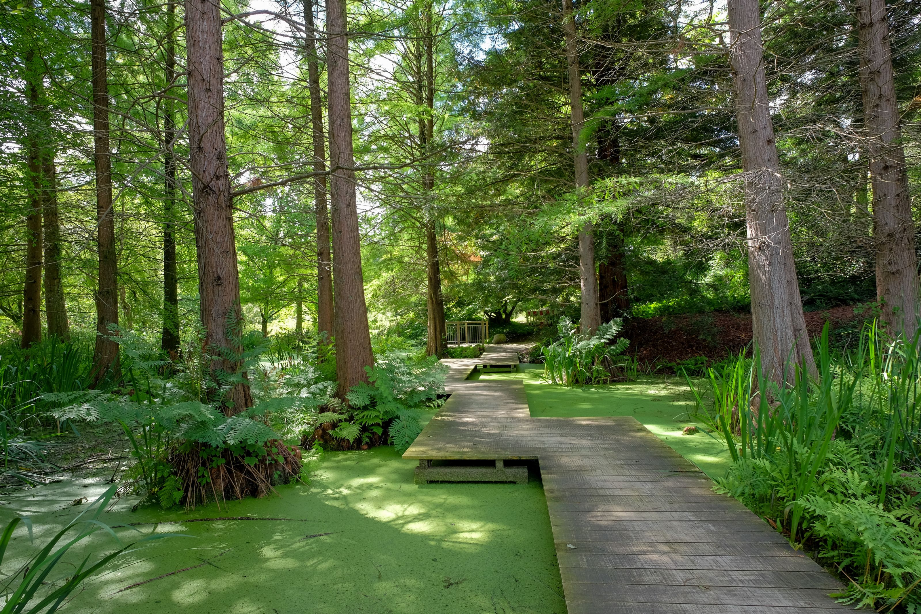 Botanischer Garten