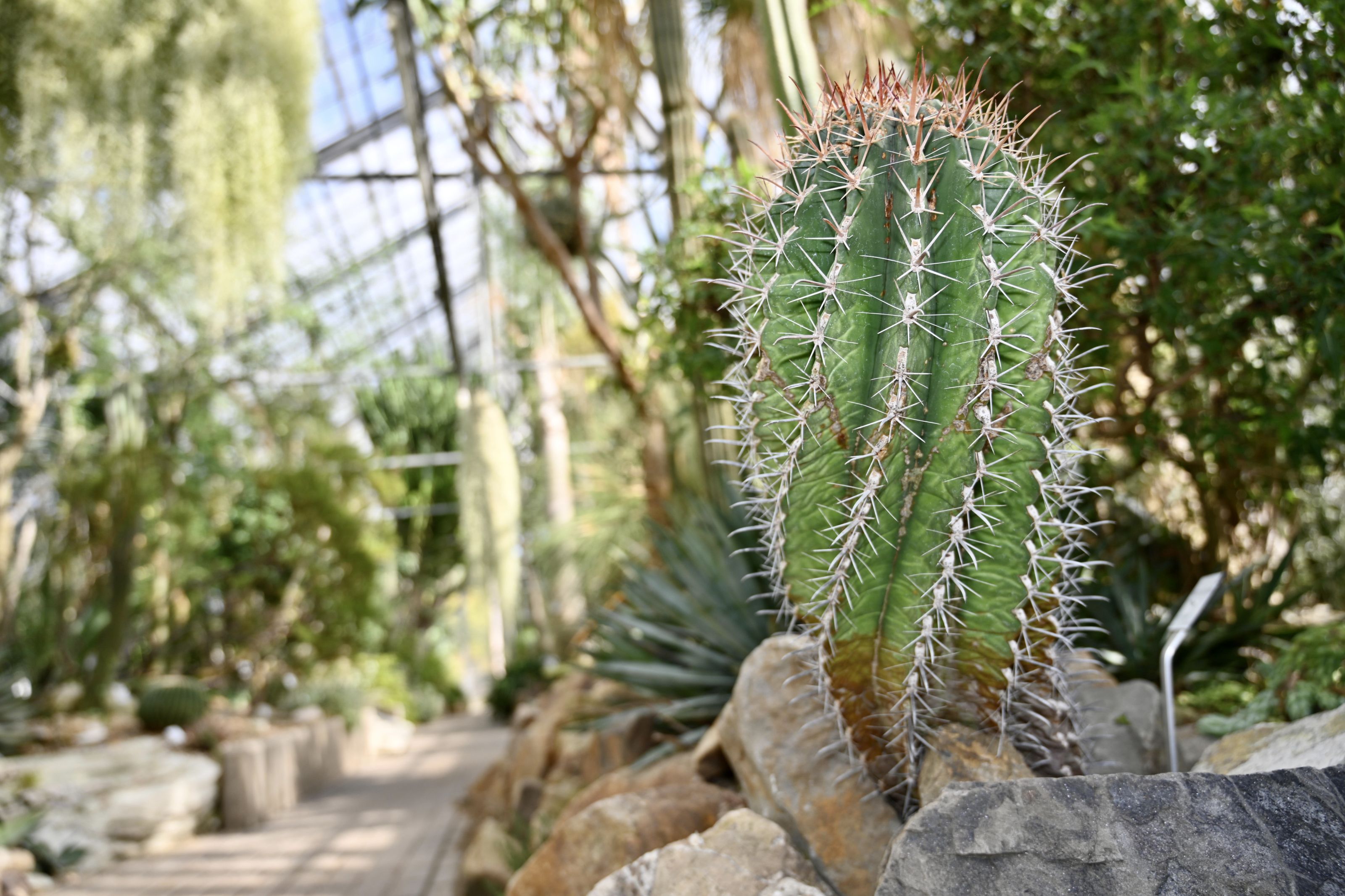 Botanischer Garten