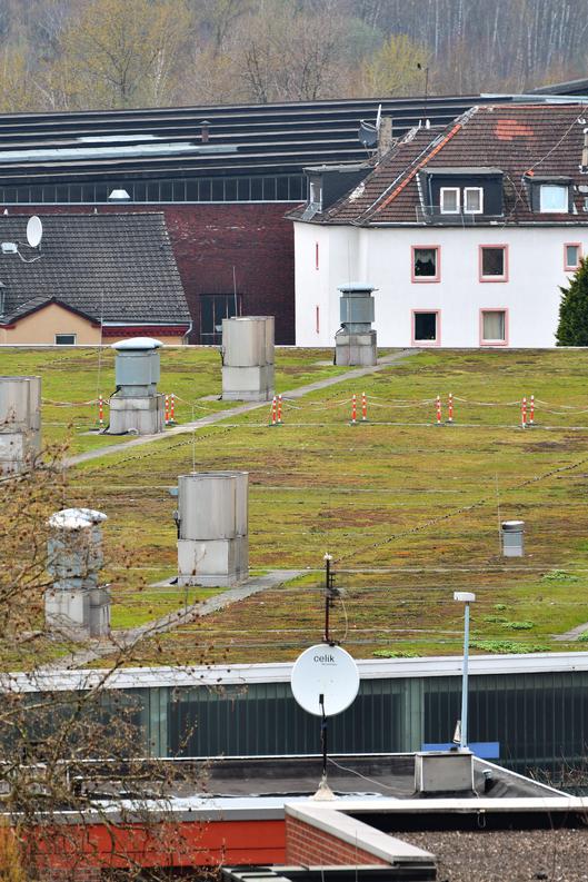 Dachbegrünung