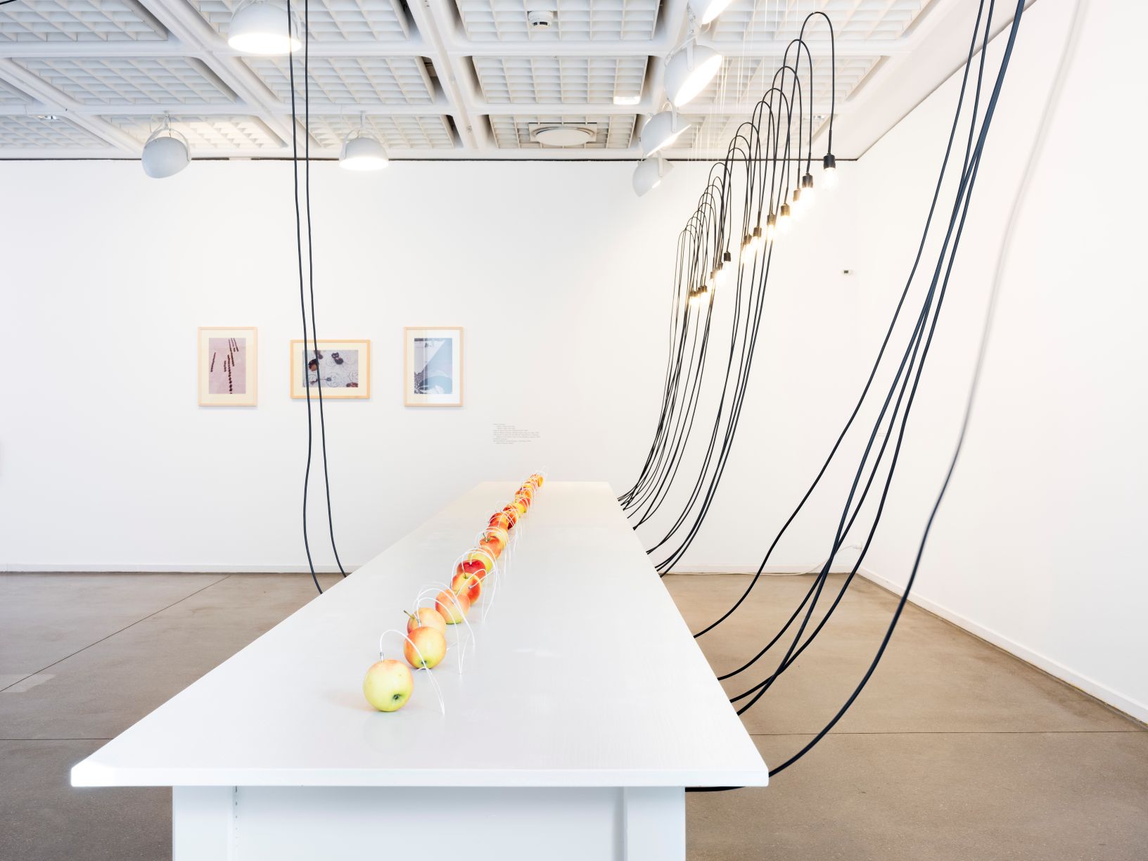 Kunstinstallation mit Aepfeln und Lampen