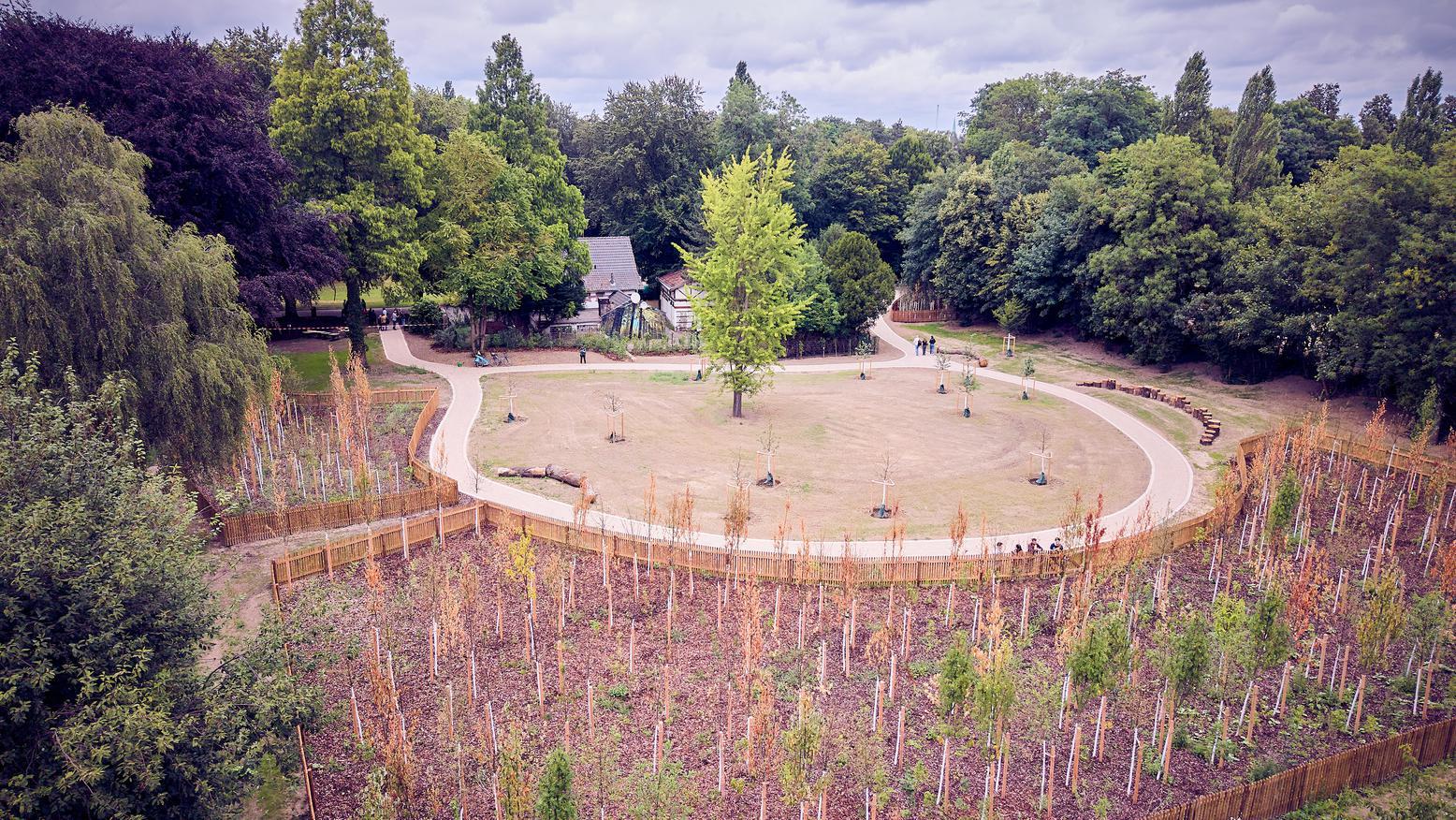 Luftbild .der Stadtgartenfläche mit neu gepflanzten Bäumen.