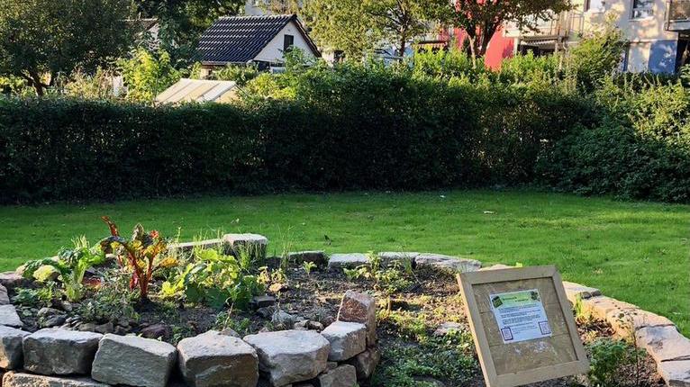 Erntedank-Aktion an der Kräuterspirale im Park Hamme 