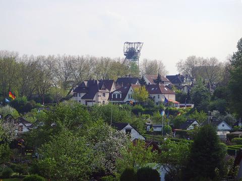 Blick über eine Schrebergartenanlage in Bochum-Hamme auf alte Zechenhäuser und den Förderturm der Zeche Carolinenglück